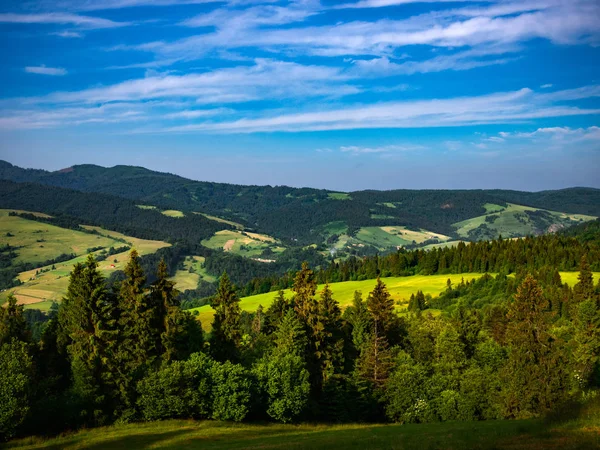 Beskid Sadecki Och Radziejowej Sträcker Sig Från Pieniny Bergen Sommar — Stockfoto