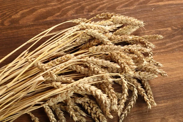 金色の小麦は乾燥耳 — ストック写真