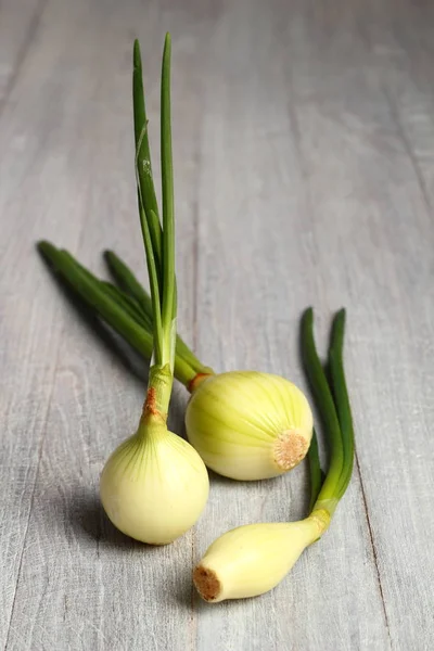 Spring Onions Wooden Background — Stock Photo, Image