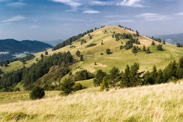 Vista Panorâmica Paisagem Montanhosa Verde — Fotografia de Stock