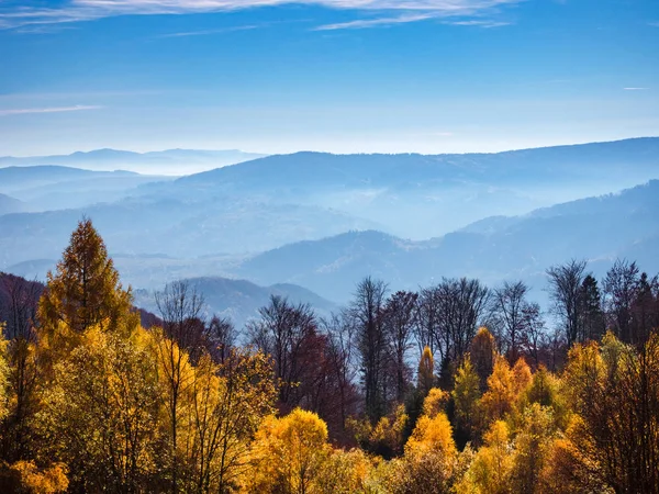 Sonbahar Dağlarda Beskid Sadecki Polonya — Stok fotoğraf