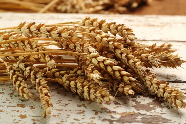 Dry Golden Wheat Ears Stock Image