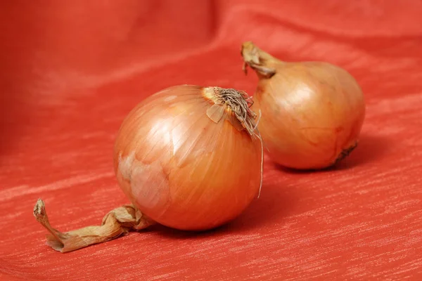 Zwei Zwiebelköpfe Auf Rotem Stoff — Stockfoto