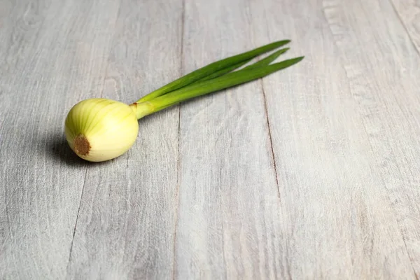 Spring Onion Wooden Background — Stock Photo, Image