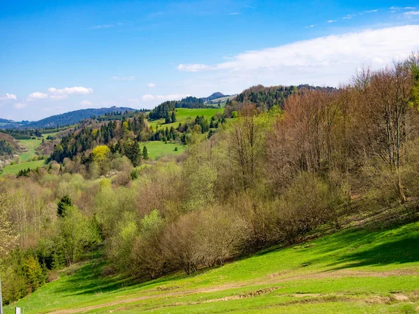 Pieniny Mountains Primavera Vista Szafranowka Mount Perto Szczawnica Town Polônia — Fotografia de Stock