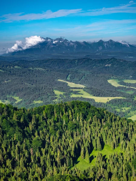 マウント Wysoka Vysoke Skalky ピエニィニ スロバキア ポーランド国境から高タトラ山脈 — ストック写真