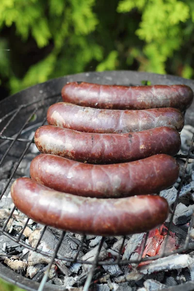 Asar Salchichas Sangre Parrilla Barbacoa —  Fotos de Stock