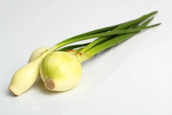 Spring Onions White Background — Stock Photo, Image