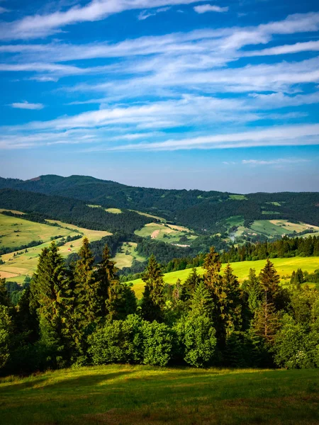 Beskid Sadecki Radziejowej Cordillera Pieniny Mountains Verano —  Fotos de Stock