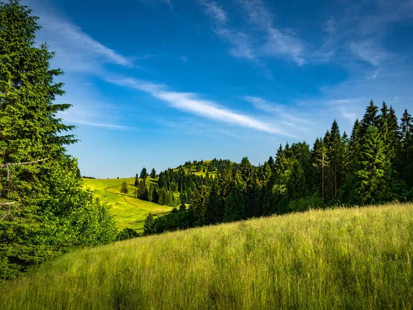 夏天的皮尼尼山脉 怀索基维奇山 斯拉赫特绍夫斯基 斯洛伐克边境 从波兰方面的看法 — 图库照片