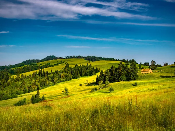 Mounts Durbaszka Borsuczyny Wysoka 从怀索基维奇山附近的景色 皮内尼山 — 图库照片