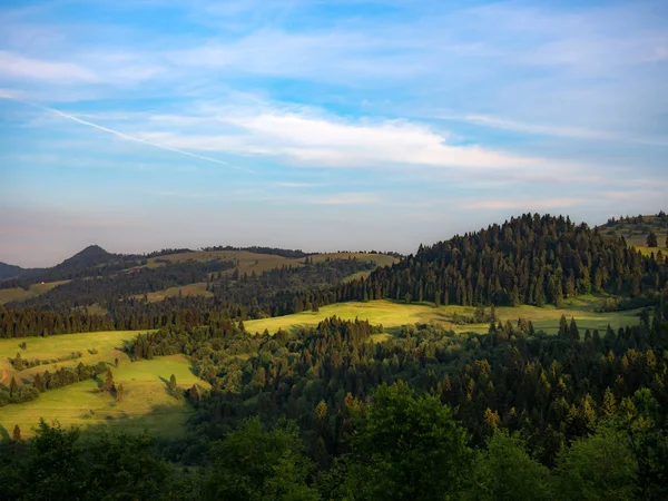 Husciawa Und Wysoka Montieren Pieniny Berge Sommer Blick Vom Mount — Stockfoto