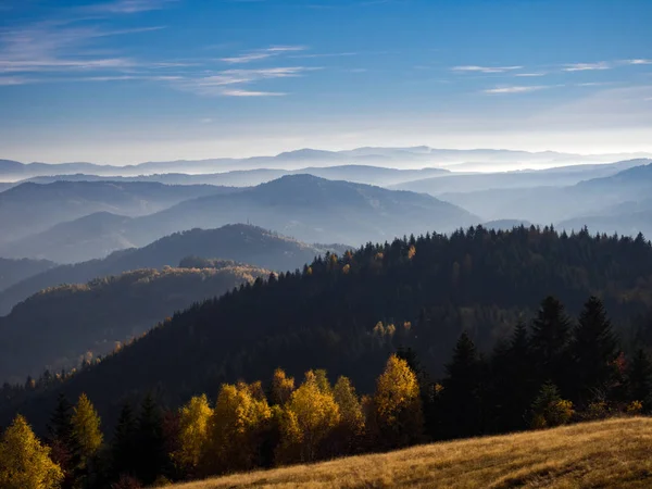Góry Beskid Jesienią Zakresu Jaworzyna Pobliżu Miasta Piwniczna Zdrój Polska — Zdjęcie stockowe