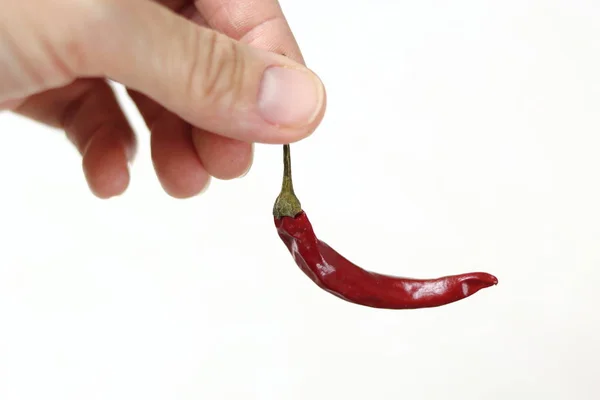 Hand Houdt Red Hot Chili Peper Geïsoleerd Witte Achtergrond — Stockfoto