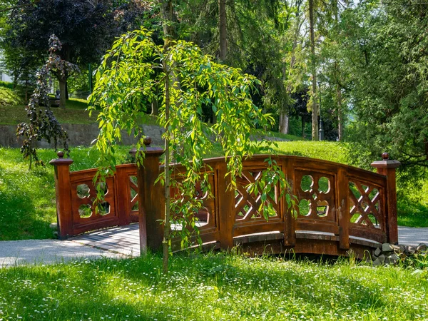 Malý Dřevěný Zahradní Most Szczawnica Polsko — Stock fotografie