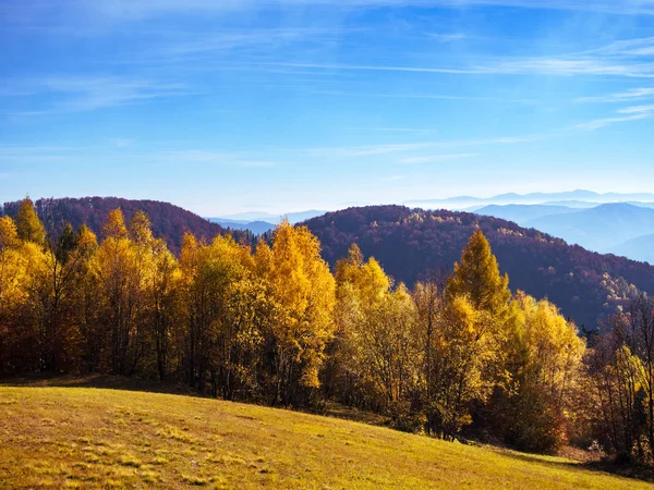 Herfst Bergen Beskid Sadecki Polen — Stockfoto