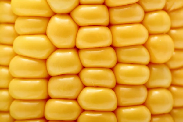 Bliska Strzał Świeżych Kukurydzy Cob — Zdjęcie stockowe