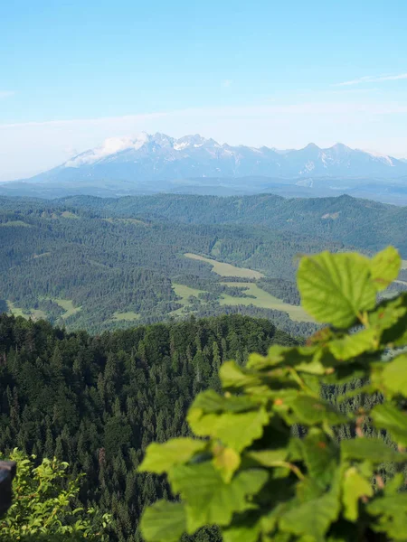 Panorama Der Hohen Tatra Von Den Pieniny Mountains Polen — Stockfoto