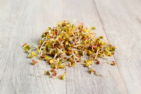 Radish Sprouts Wooden Table — Stock Photo, Image