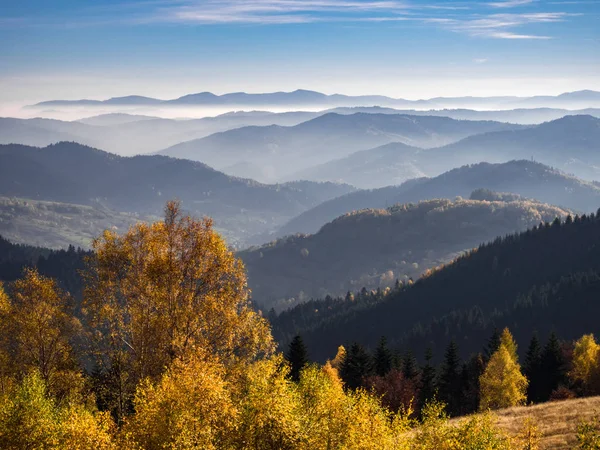 Beschleppt Berge Herbst Von Jaworzyna Bereich Der Nähe Piwniczna Zdroj — Stockfoto