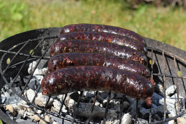 Asar Salchichas Sangre Parrilla Barbacoa —  Fotos de Stock