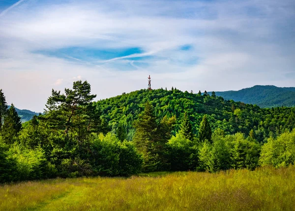 Pieniny Dağlarda Yaz Mount Jarmuta — Stok fotoğraf