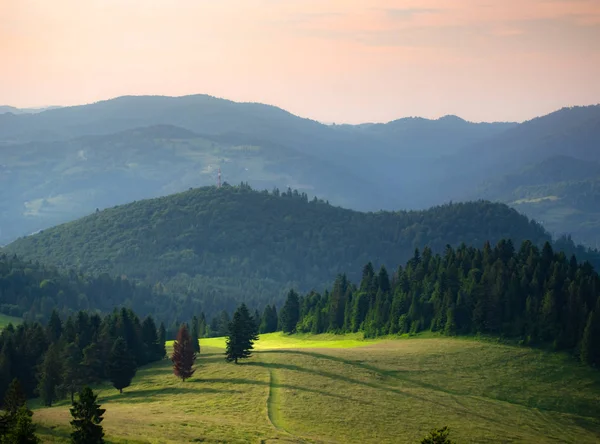 在夏季的皮内尼山在日落 从怀索基 维奇前往贾穆塔山的景色 — 图库照片