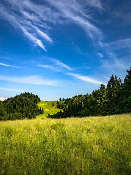 Góry Pieniny Latem Pobliżu Mount Wysokim Wierchu Slachtovsky Polsko Słowackiej — Zdjęcie stockowe