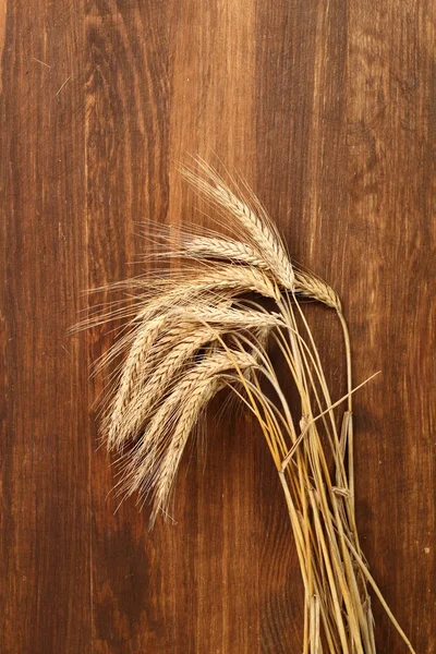 Wheat Rye Ears Close — Stock Photo, Image