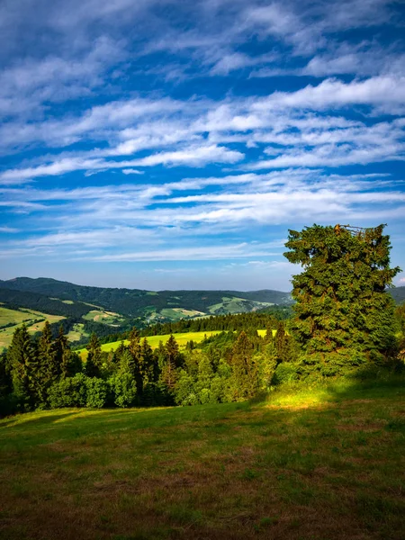 Beskid Sadecki Pieniny Dağları Yaz Aylarında Aralığından Radziejowej — Stok fotoğraf