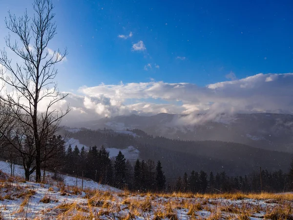 ベスキディ山脈山 ポーランドの冬の降雪 近くの Pwiniczna ズドルイ — ストック写真