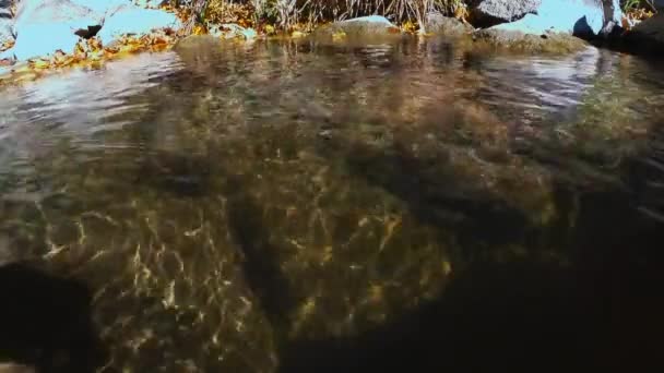 Stenar Öppet Vatten Mountain River Soliga Höstdag — Stockvideo