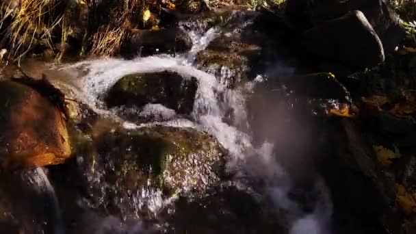 Luminoso Sole Illuminato Piccola Cascata Fiume — Video Stock