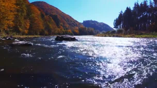 Río Poprad Soleado Día Otoño Rytro Polonia — Vídeo de stock