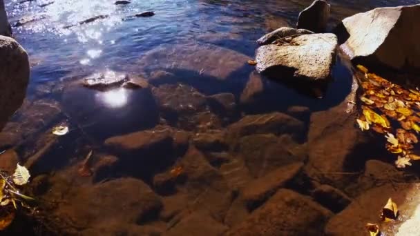 Pedras Água Transparente Rio Montanha Dia Ensolarado Outono — Vídeo de Stock