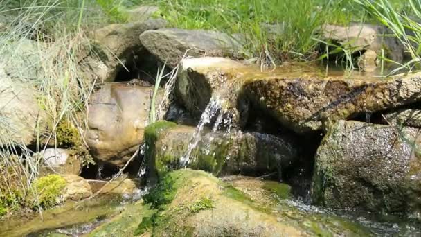 Agua Corriente Arroyo Luz Del Sol Brillante — Vídeo de stock