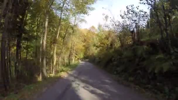 Muovendosi Strada Attraverso Viste Rurali Con Vegetazione Lussureggiante — Video Stock