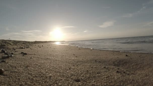 Морские Волны Движутся Песчаному Пляжу Ярком Солнечном Свете — стоковое видео