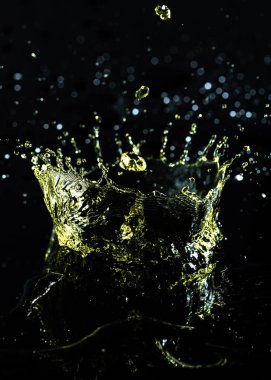 Splash portre siyah arka plan üzerine su