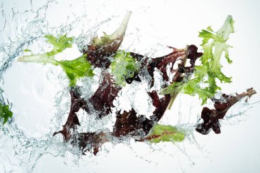 Yeşiller su sıçrama beyaz zemin üzerine karışımı