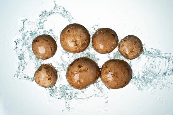 Champiñones Salpicadura Agua Sobre Fondo Blanco —  Fotos de Stock