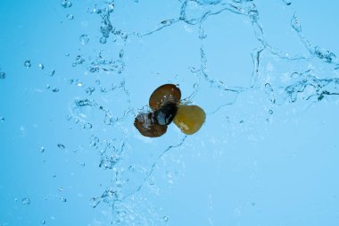 Veda partisi su ve zen havai görünümü kayalar