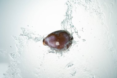 Seashell havai görünümü ve su sıçrama beyaz arka plan üzerinde