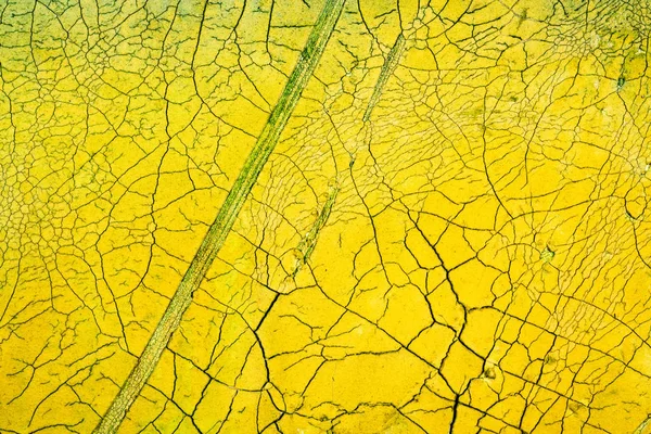 Crackle doku, soyut sanat doku, arka plan doku yüzey