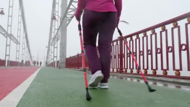 Caminhada nórdica. Jovem mulher caucasiana gordinha caminhando com os pólos nórdicos. Close up Back Follow Shot. Movimento lento — Vídeo de Stock