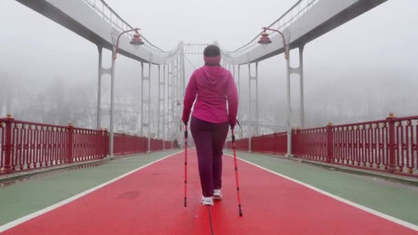 Nordic Walking. Młoda Gruba kaukaski kobieta turystyka z biegunów nordyckich. Powrót Follow shot. Zwolnionym — Wideo stockowe