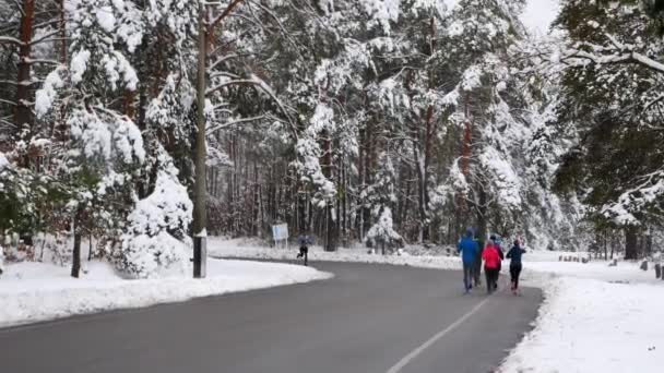 Група молодих бігунів Fit працюють в зимовий парк. Ранок біг вправи в Сніжному парку — стокове відео