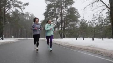 Mutlu kıdemli ve Genç Kafkas kadınlar kışın karlı parkta konuşan ve gülümsüyor. Ön takip çekimi.