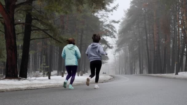 Happy Senior i młodych kaukaski kobiet działa w snowy parku zimą rozmawiać i uśmiechnięty. Tylny strzał statyczny. Zwolnionym — Wideo stockowe