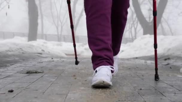 Stavgång. Unga knubbiga kaukasiska kvinna vandring med de nordiska polackerna. Närbild mot kameran — Stockvideo